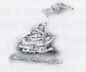 Scan 6