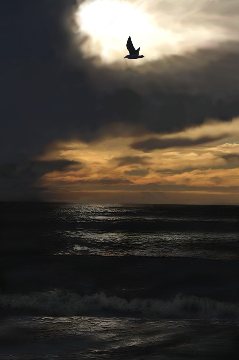 Stacks Image 167
