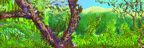 branch.jpg