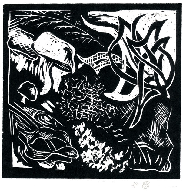 Cover Issue 1