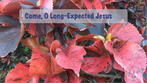 Come O Long-Expected Jesus