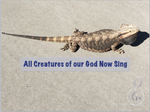 All Creatures of our God Now Sing