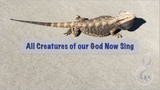 All Creatures of our God Now Sing